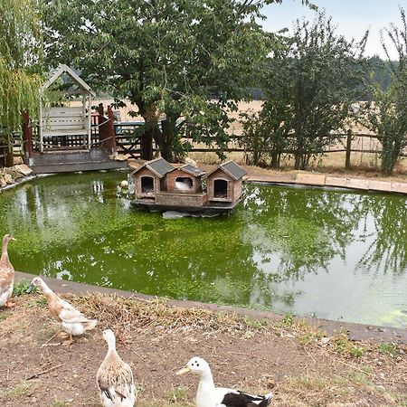 South Wing Coldharbour Park Farm Βίλα Rake Εξωτερικό φωτογραφία