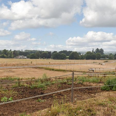 South Wing Coldharbour Park Farm Βίλα Rake Εξωτερικό φωτογραφία