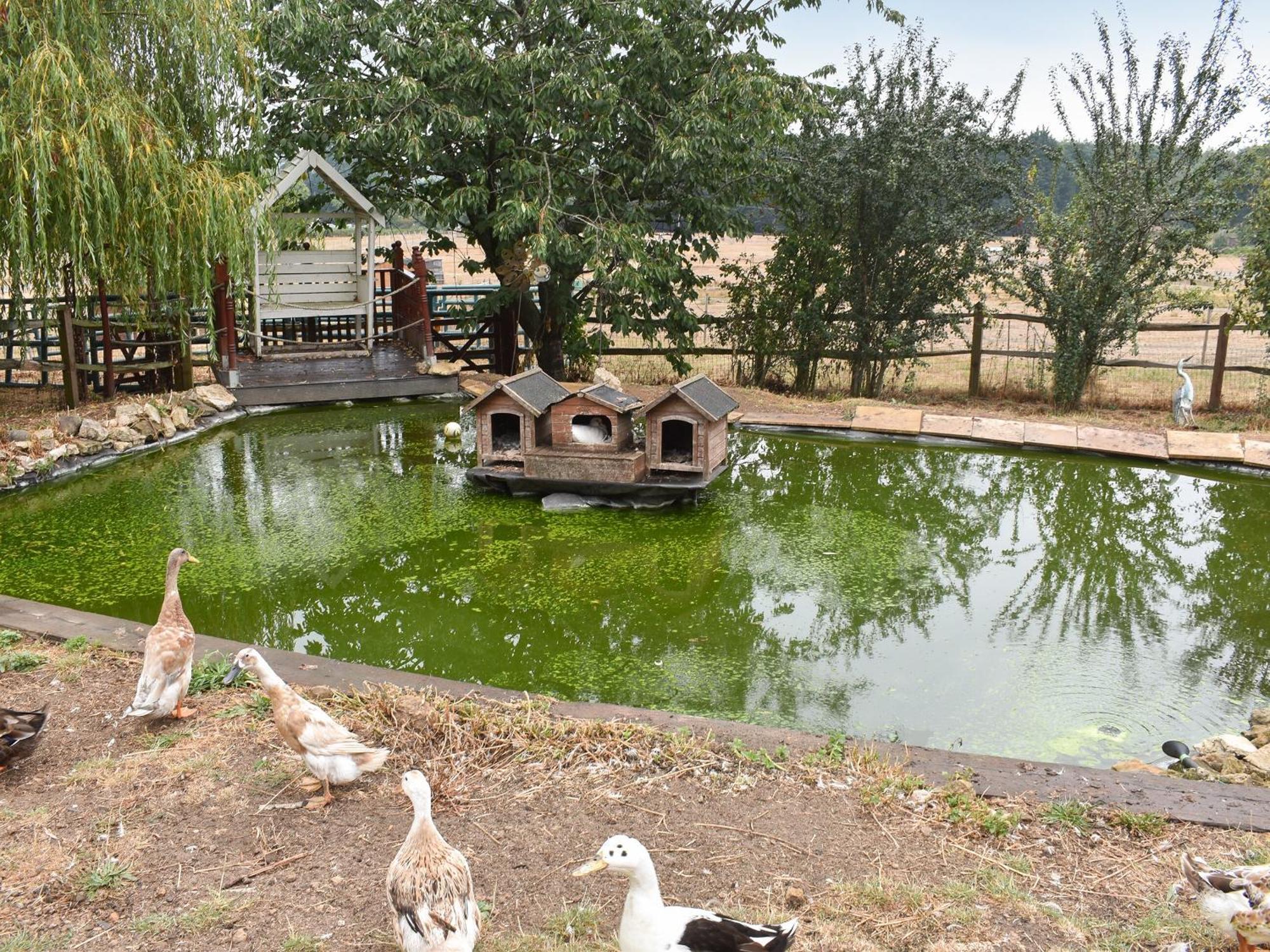 South Wing Coldharbour Park Farm Βίλα Rake Εξωτερικό φωτογραφία