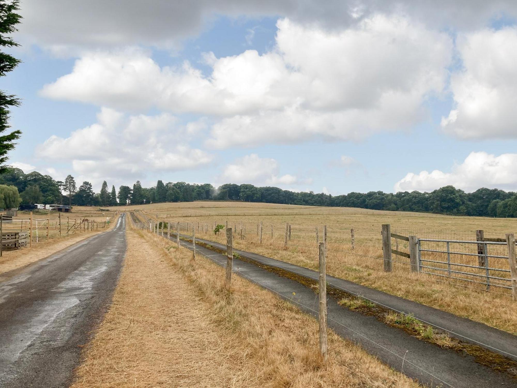 South Wing Coldharbour Park Farm Βίλα Rake Εξωτερικό φωτογραφία