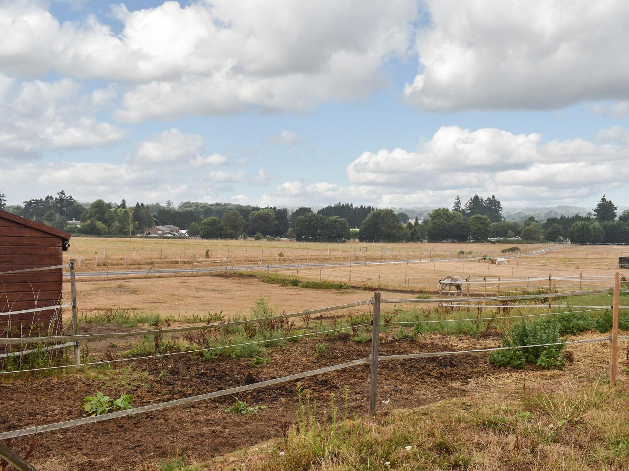 South Wing Coldharbour Park Farm Βίλα Rake Εξωτερικό φωτογραφία
